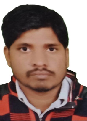 Mr. Mahendra Kumar Paraste